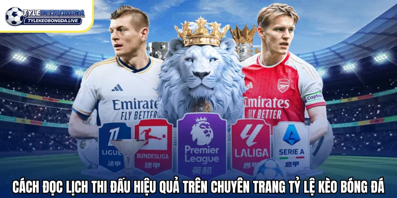 Cách đọc lịch thi đấu hiệu quả trên chuyên trang tỷ lệ kèo bóng đá