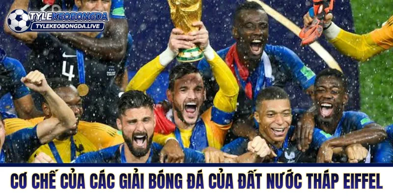 Cơ chế của các giải bóng của đất nước tháp Eiffel