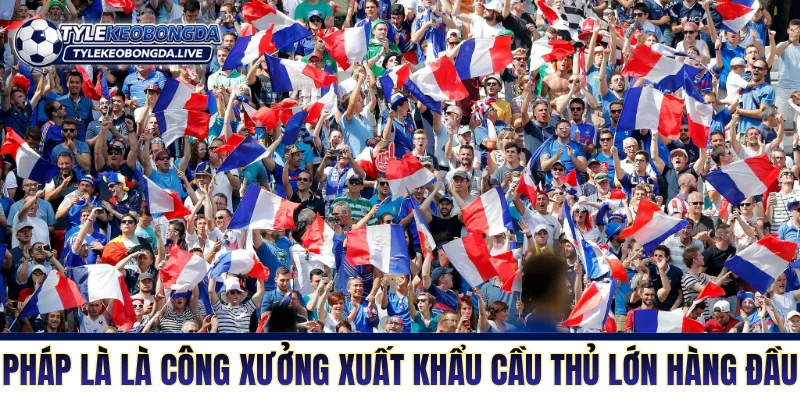 Xứ lục lăng là công xưởng xuất khẩu cầu thủ lớn hàng đầu thế giới