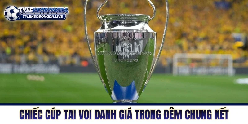 Cup C1 Châu Âu - Thánh Địa Của Những Nhà Vua Thực Thụ! 4 Chiếc cúp tai voi danh giá trong đêm chung kết