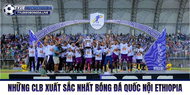 VĐQG Ethiopia - Sân Chơi Vắt Kiệt Phổi Ở Độ Cao 2000m! 4 Những CLB xuất sắc nhất bóng đá quốc nội Ethiopia