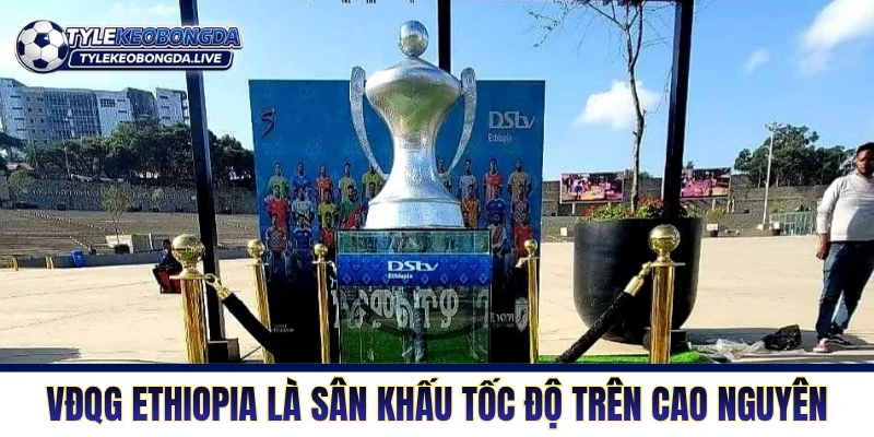 VĐQG Ethiopia - Sân Chơi Vắt Kiệt Phổi Ở Độ Cao 2000m! 1 VĐQG Ethiopia là sân khấu tốc độ trên cao nguyên