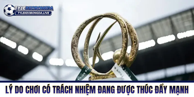 VĐQG Hàn Quốc - Nơi Của Những Máy Chạy Không Phổi 1 VĐQG Hàn Quốc là sân chơi của những chiến binh cần mẫn