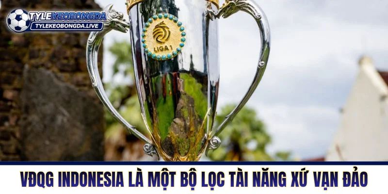 VĐQG Indonesia - “Cối Xay” Huấn Luyện Viên Và Ngoại Binh 1 VĐQG Indonesia là một bộ lọc tài năng xứ Vạn đảo