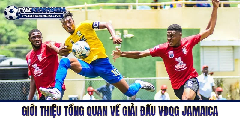 VĐQG Jamaica - Trận Chiến Thể Chất Và Tranh Chấp Tay Đôi 1 Giới thiệu tổng quan về giải đấu VĐQG Jamaica
