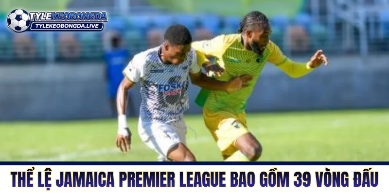 VĐQG Jamaica - Trận Chiến Thể Chất Và Tranh Chấp Tay Đôi 2 Thể lệ Jamaica Premier League bao gồm 39 vòng đấu